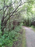 ممر في غابة Parc-nature du Bois-de-Liesse