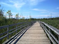 ممر خشبي في Parc-nature du Bois-de-l'Île-Bizard