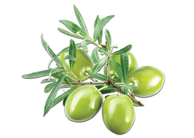 صورة من سوق الطيبات، ٢ من ٧