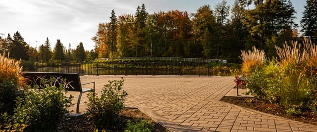 صورة من Centennial Park: مسارات الغابة وألعاب العائلة، ١ من ٢