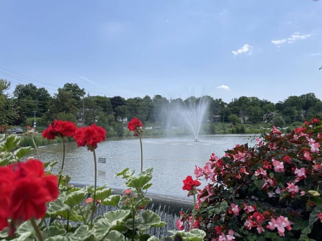 صورة من Fairy Lake Park: مشي حول البحيرة وجسورها، ٦ من ٦
