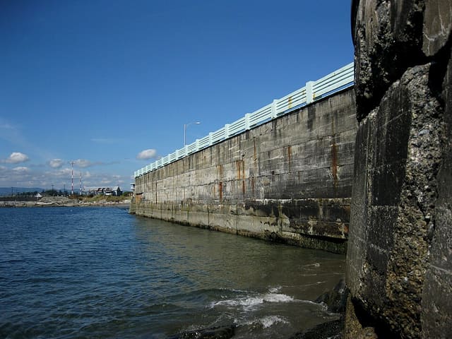 صورة من Ogden Point Breakwater: مشي إلى المنارة وفنون ساحلية، ٦ من ١٩