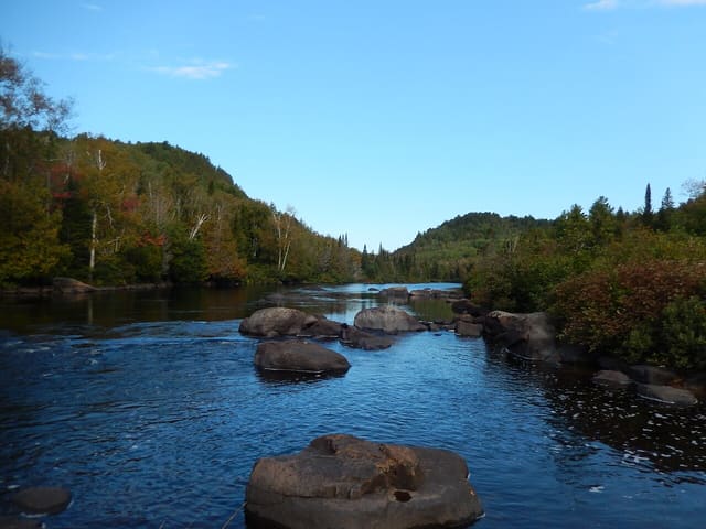 صورة من Forêt Ouareau: مشي في قطاع Massif، ٧ من ٢٤