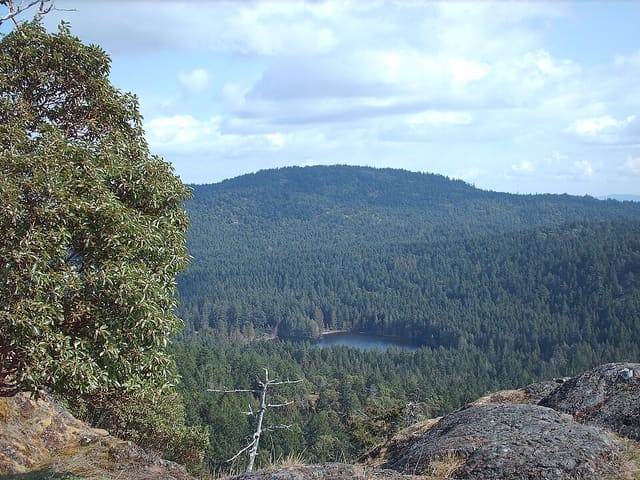 صورة من Lone Tree Hill: صعود إلى قمة تطل على Highlands، ٤ من ٦