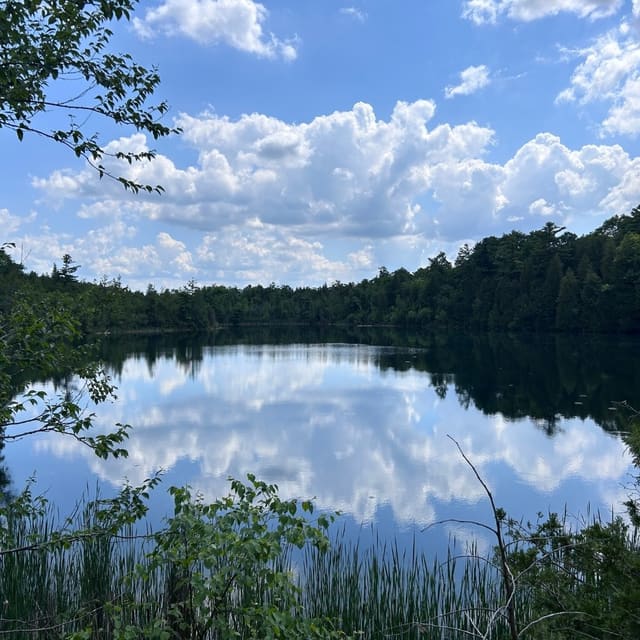 صورة من Crawford Lake: ممشى بحيرة وبيوت طويلة تاريخية، ٢ من ٧