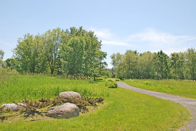 صورة من Pointe-aux-Prairies: غابات وأراضٍ رطبة، ٤ من ١٥