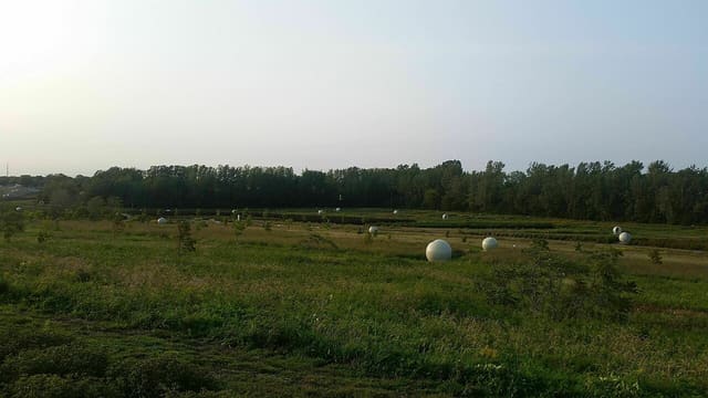 صورة من Parc Frédéric-Back: حديقة أُقيمت مكان مكب نفايات سابق، ٣ من ٢١