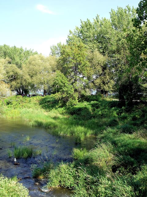 صورة من Parc des Rapides: مراقبة الطيور ومناظر النهر، ٧ من ١٥