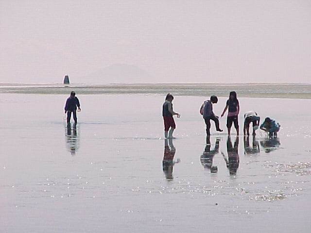 صورة من Boundary Bay Regional Park: شاطئ Centennial وطيور الخليج، ١ من ١