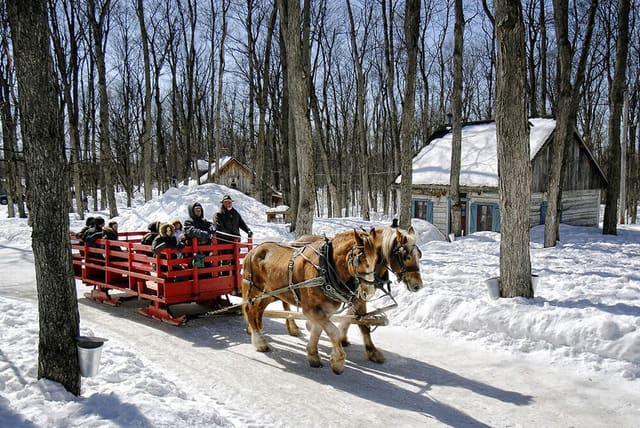 صورة من Sucrerie de la Montagne: كوخ سكر تقليدي على جبل Rigaud، ١ من ١٨