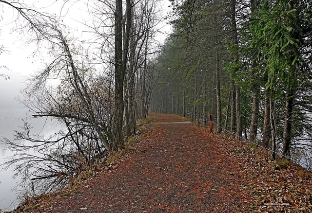 صورة من بستان Mont-Saint-Bruno: قطف التفاح داخل منتزه وطني، ٧ من ٢٢