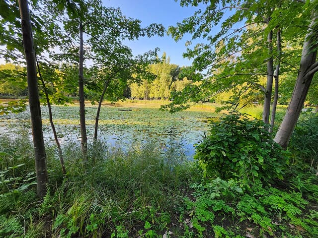 صورة من Parc Angrignon: غابة وبحيرة ونزهات، ٣ من ١٠