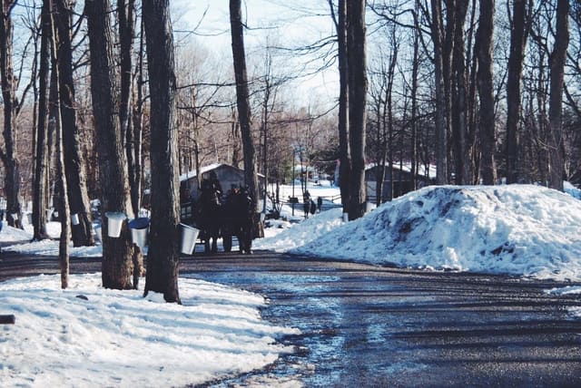 صورة من Sucrerie de la Montagne: كوخ سكر تقليدي على جبل Rigaud، ٧ من ١٨