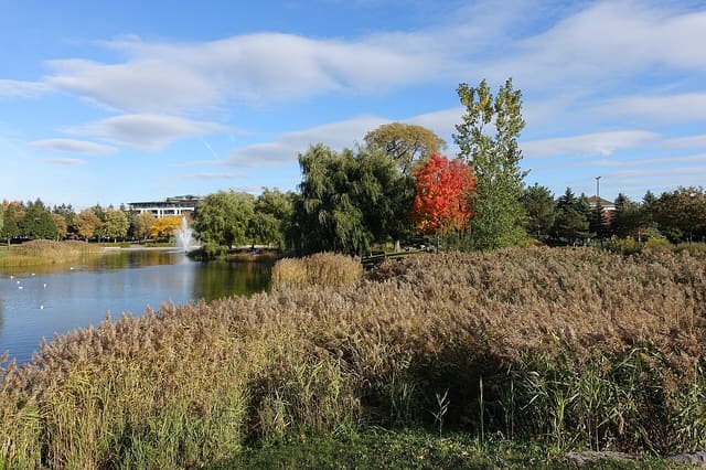صورة من Parc Jarry: بركة وملاعب ومساحات للنزهة، ٢ من ١٥