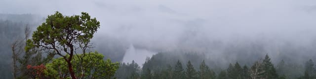 صورة من Mount Wells: مسار صعب إلى قمة صخرية، ١ من ١
