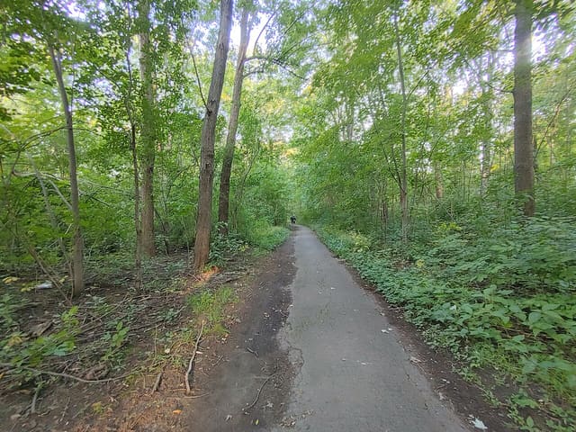 صورة من Parc Angrignon: غابة وبحيرة ونزهات، ٥ من ١٠