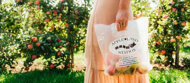 صورة من Apple Land Station: قطاف التفاح وقطار المزرعة، ١ من ١