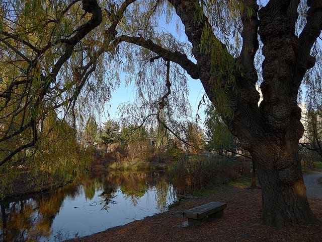 صورة من Humber Arboretum: حدائق وممرات قرب West Humber، ١ من ٢