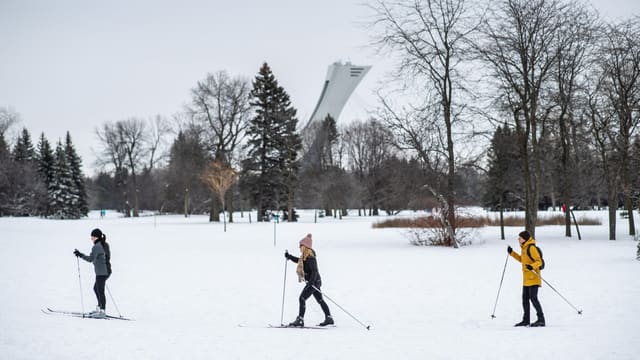 صورة من Parc Maisonneuve: مساحات خضراء ومسار للمشي، ١ من ١٥