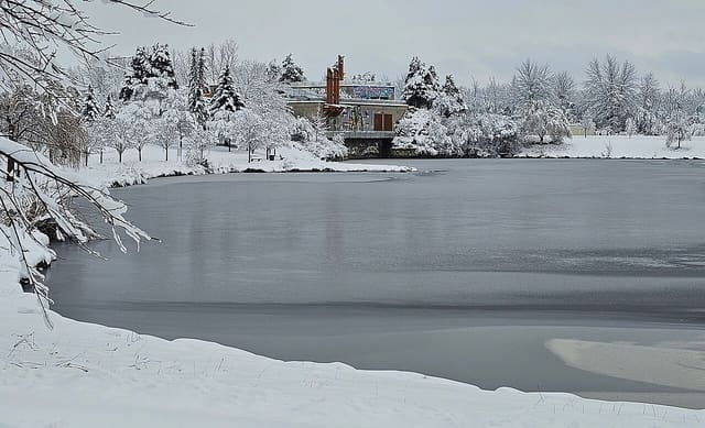 صورة من Parc de la Cité: مسارات حول الماء، ٦ من ١٥