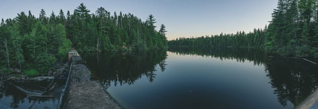 صورة من Mill Creek Nature Park: مسارات الخزان والغابة، ١ من ١