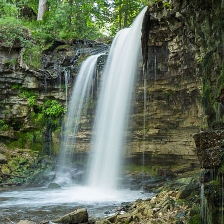 صورة من Hilton Falls: شلال وآثار مطحنة وسط الغابة، ٣ من ٥