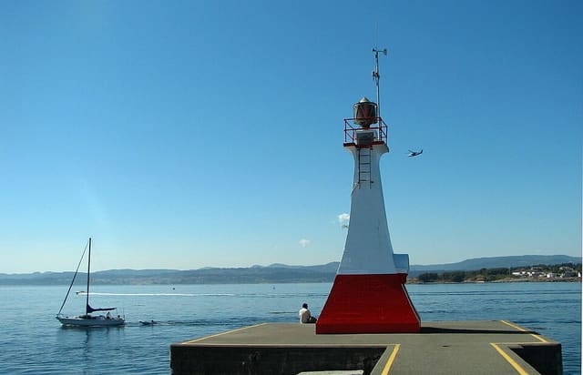 صورة من Ogden Point Breakwater: مشي إلى المنارة وفنون ساحلية، ٨ من ١٩