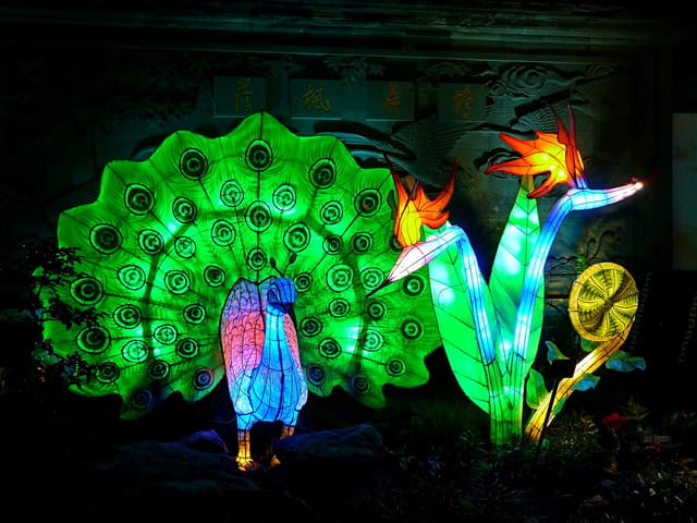 صورة من Jardins de lumière: فوانيس الحديقة النباتية ليلاً، ٨ من ١٦
