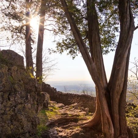 صورة من Rattlesnake Point: إطلالات الجرف وأشجار الأرز القديمة، ٢ من ٦