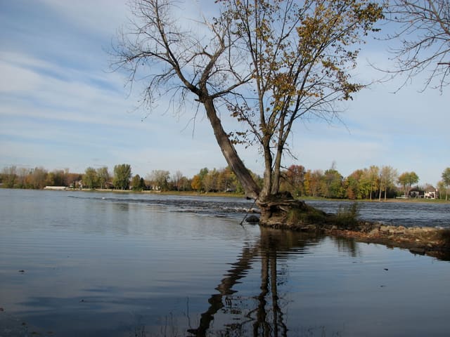صورة من Cap-Saint-Jacques: مزرعة بيئية وغابة على Lac des Deux Montagnes، ٣ من ١٦