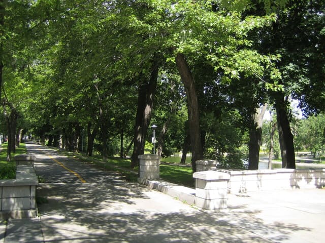 صورة من Parc La Fontaine: برك ونزهات في حي البلاتو، ٧ من ٢٣