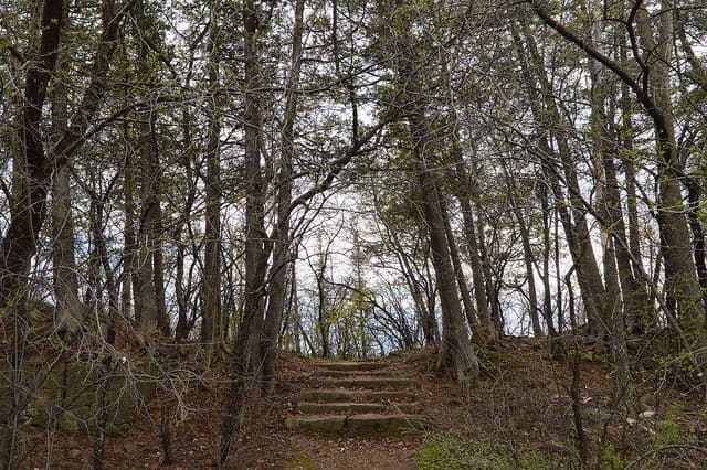 صورة من Parc-nature du Bois-de-l'Île-Bizard: إطلالة على البحيرة وشواء قرب الماء، ٥ من ١٥