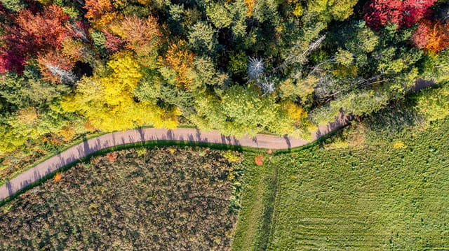 صورة من Fullerton’s Creek Conservation Park: مسارات وإطلالة على المستنقع، ٢ من ٣