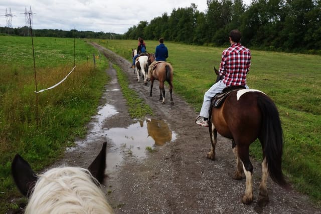 صورة من Ranch Liberté: ركوب الخيل بين الأشجار، ١ من ١٤