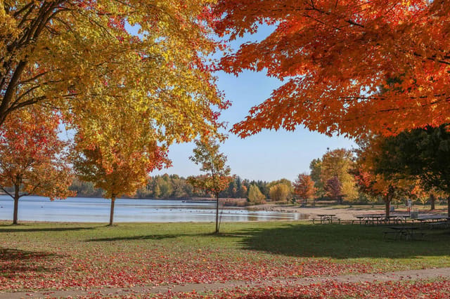 صورة من Valens Lake: مسارات غابة وممر فوق الأرض الرطبة، ٧ من ١٣
