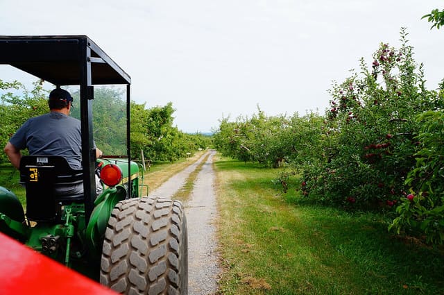 صورة من Domaine Lafrance: ١٣ ألف شجرة تفاح وكعك مقلي في Saint-Joseph-du-Lac، ٢ من ١١
