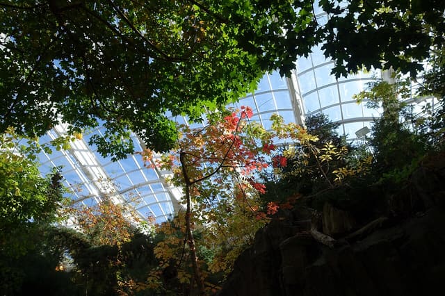 صورة من Biodôme: خمسة أنظمة بيئية وبطاريق تحت قبة واحدة، ٥ من ١٥