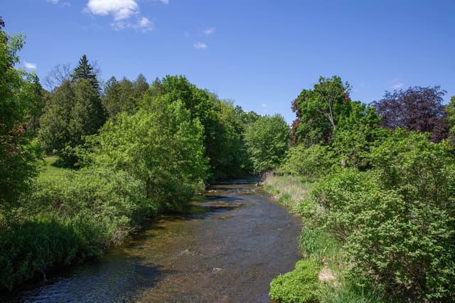 صورة من Webster Falls: شلال وجسر حجري في Spencer Gorge، ٤ من ٧