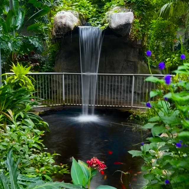 صورة من Cambridge Butterfly Conservatory: فراشات في حديقة استوائية، ١ من ٢
