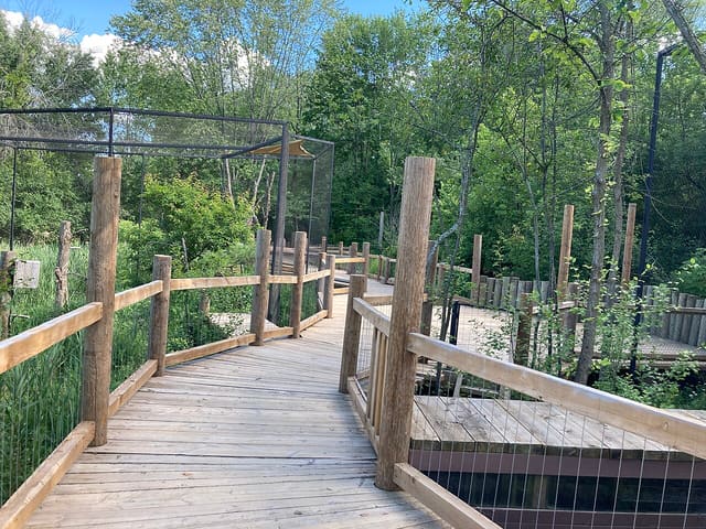 صورة من Zoo Ecomuseum: مشاهدة حيوانات كيبيك، ٢ من ٢٠