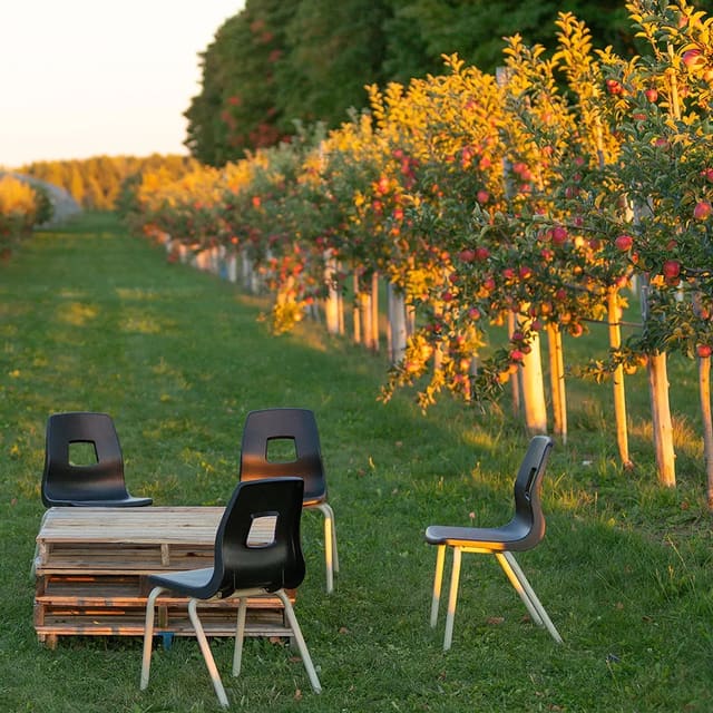 صورة من Domaine Labranche: قطف التفاح ونزهة ريفية، ٥ من ١٠