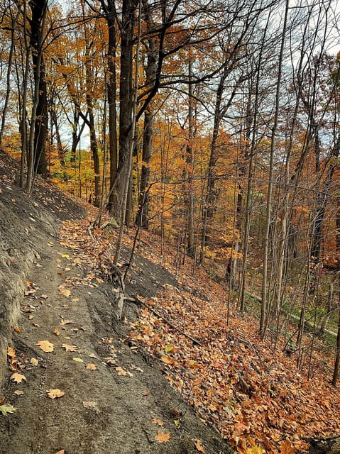 صورة من Taylor Creek Park: مشي في وادي Taylor Massey، ٧ من ٢٣