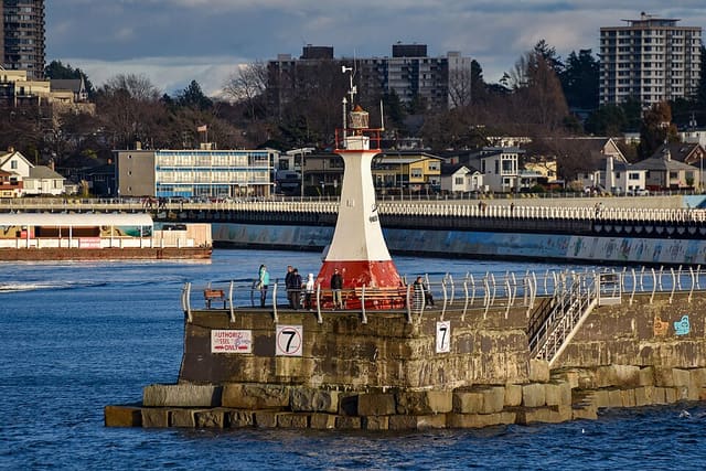 صورة من Ogden Point Breakwater: مشي إلى المنارة وفنون ساحلية، ٢ من ١٩