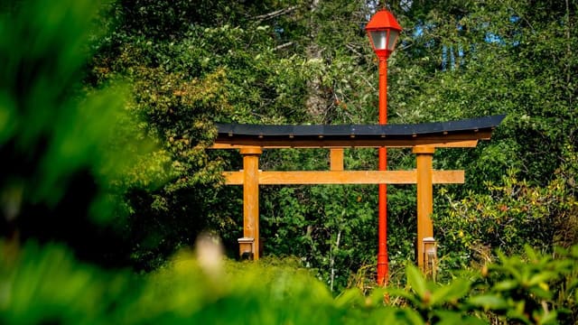 صورة من Esquimalt Gorge Park: حديقة يابانية وممر على الماء، ٢ من ٣