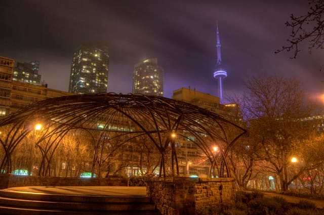 صورة من Toronto Music Garden: نزهة بين حدائق مستوحاة من Bach، ٣ من ٣