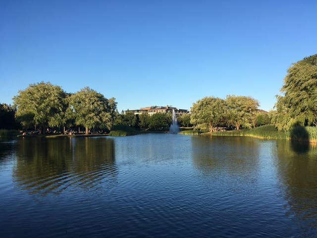 صورة من Parc Jarry: بركة وملاعب ومساحات للنزهة، ١ من ١٥