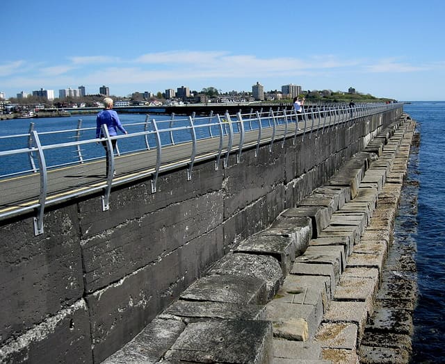 صورة من Ogden Point Breakwater: مشي إلى المنارة وفنون ساحلية، ٧ من ١٩