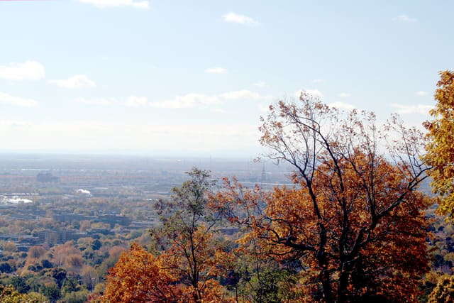 صورة من Belvédère Summit: إطلالة على مونتريال من أعلى Westmount، ٨ من ١٧