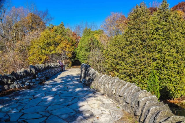 صورة من Webster Falls: شلال وجسر حجري في Spencer Gorge، ٦ من ٧