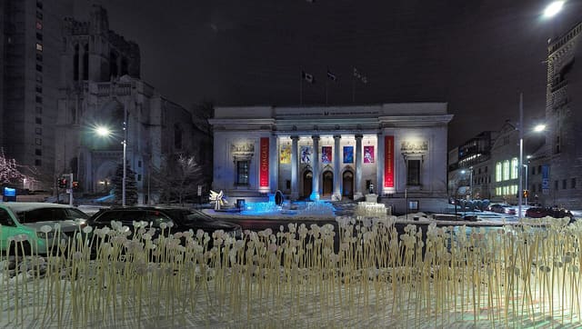 صورة من Musée des beaux-arts: مجموعات فنية ومعارض، ٥ من ١٥